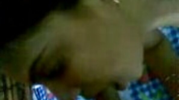 බේලි නොක්ස් සම් පදම් කිරීමේ ස්පර්ශය